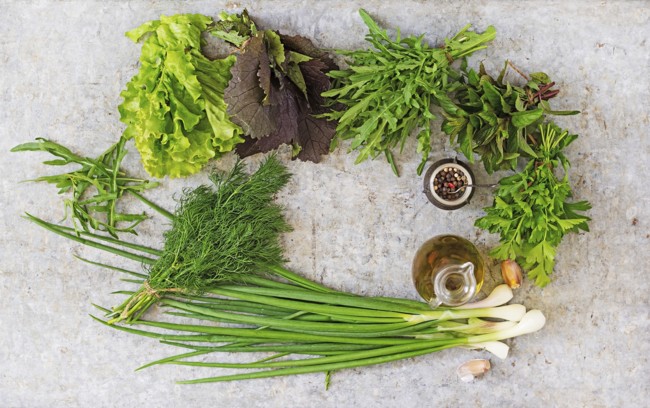 How To Preserve Herbs For A Long Time Without Losing Vitamins