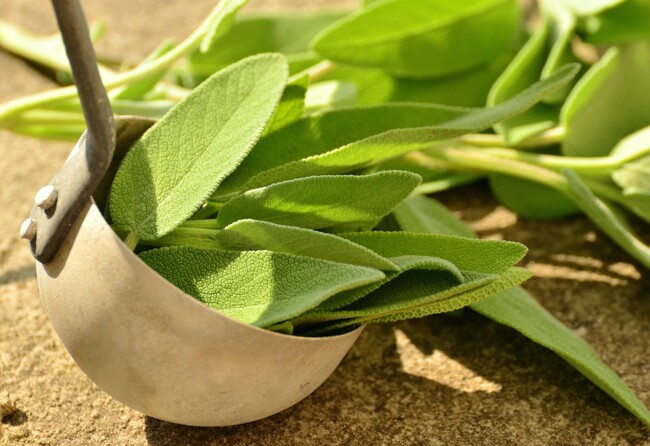Top 5 Spicy Herbs To Strengthen Your Immunity