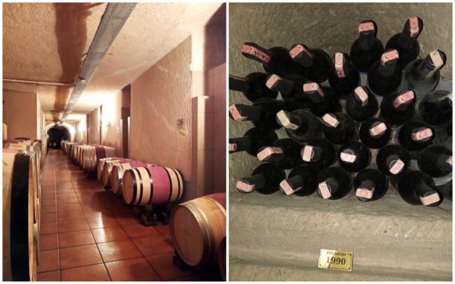 Виноробня Turasan Winery