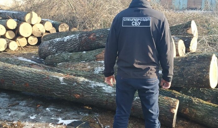 СБУ разоблачила одесских лесников на нелегальной продаже дерева | Фото: СБУ