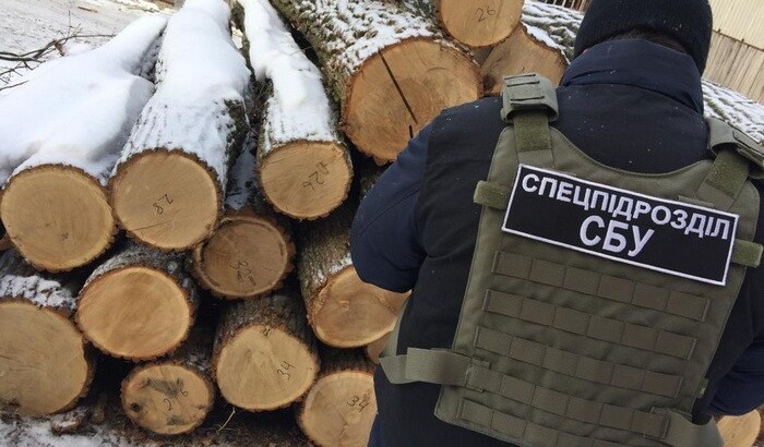 СБУ разоблачила одесских лесников на нелегальной продаже дерева