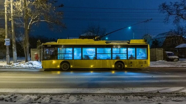 Снег в Киеве 23-24 января Фото: соцсети