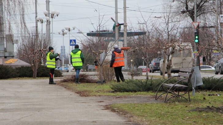 В Запорожье начали массовую обрезку деревьев | Фото: пресс-служба мэрии Запорожья