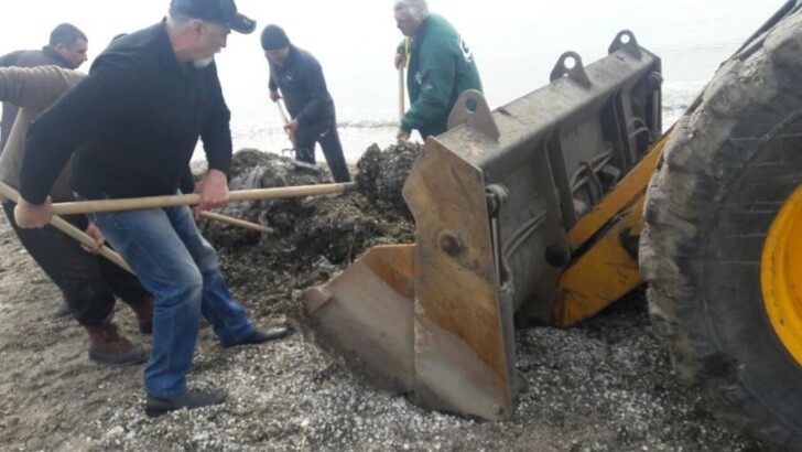 В Бердянске коммунальщики начали уборку пляжей | Фото: ПроБердянск