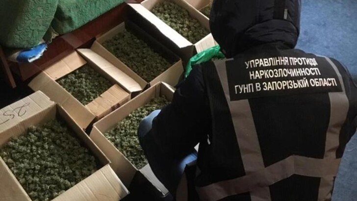 В селе под Запорожьем у мужчины изъяли наркотиков на 700 тысяч гривен | Фото: Нацполиция