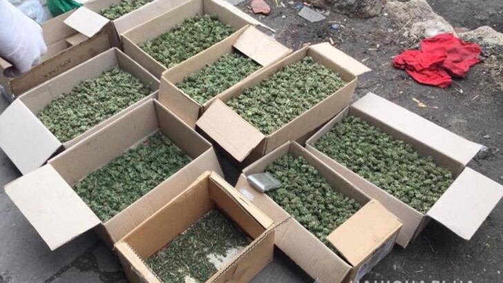 В селе под Запорожьем у мужчины изъяли наркотиков на 700 тысяч гривен | Фото: Нацполиция