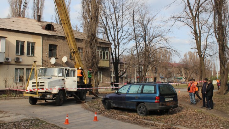 В Запорожье начали массово удалять аварийные деревья | Фото: пресс-служба мэрии Запорожья