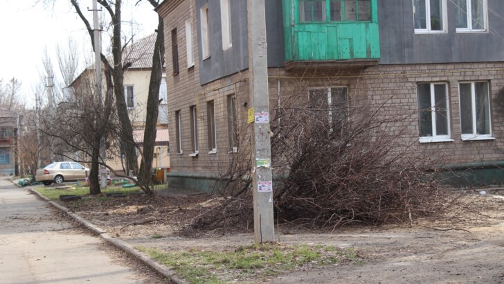 В Запорожье начали массово удалять аварийные деревья | Фото: пресс-служба мэрии Запорожья