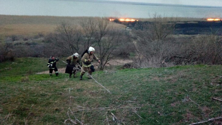 В Одесской области вспыхнул пожар в заповеднике | Фото: ГСЧС