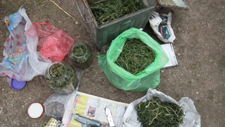 В селе Запорожской области у мужчины нашли наркотики и оружие | Фото: Нацполиция