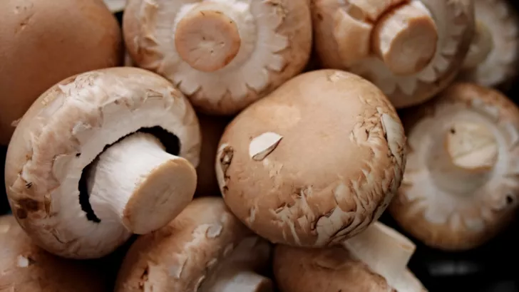 Як правильно зберігати гриби
