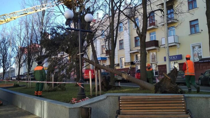 Последствия непогоды в Чернигове | Фото: ГСЧС