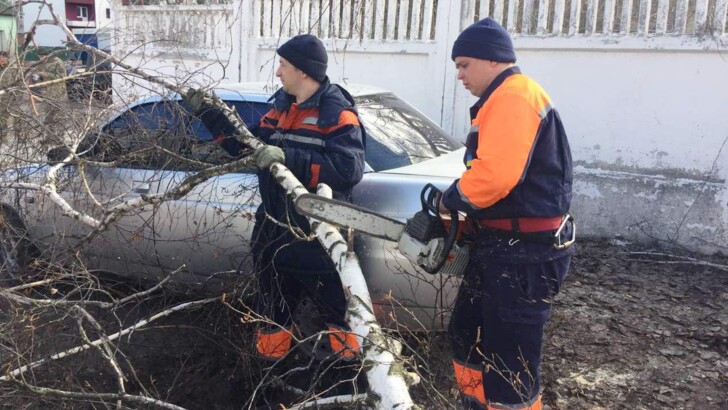 Последствия непогоды в Чернигове | Фото: ГСЧС