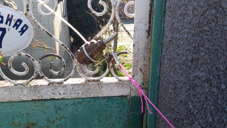 В Одесской области мужчина обнаружил на калитке своего дома гранату | Фото: Нацполиция