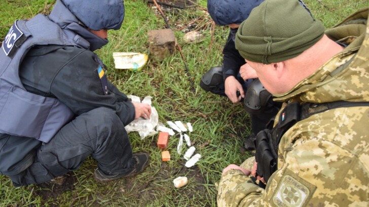 На Донбассе возле КПВВ обнаружили тайник с гранатами и взрывчаткой | Фото: ГПСУ