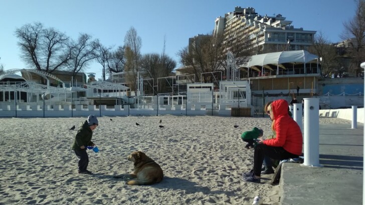 Солнечный день на пляже в Одессе | Фото: Дана Митанова, Сегодня