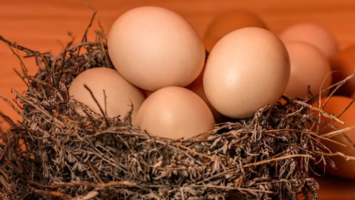 Як правильно зберігати яйця без холодильника