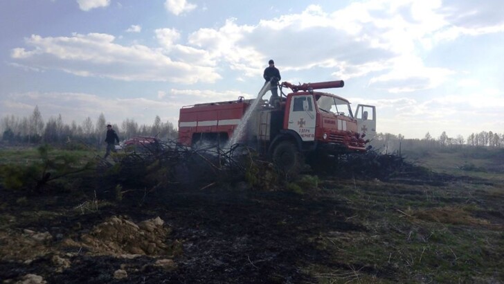 Под Черниговом потушили масштабный пожар | Фото: ГСЧС
