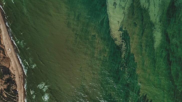 В Одессе позеленело море. Фото: УСИ