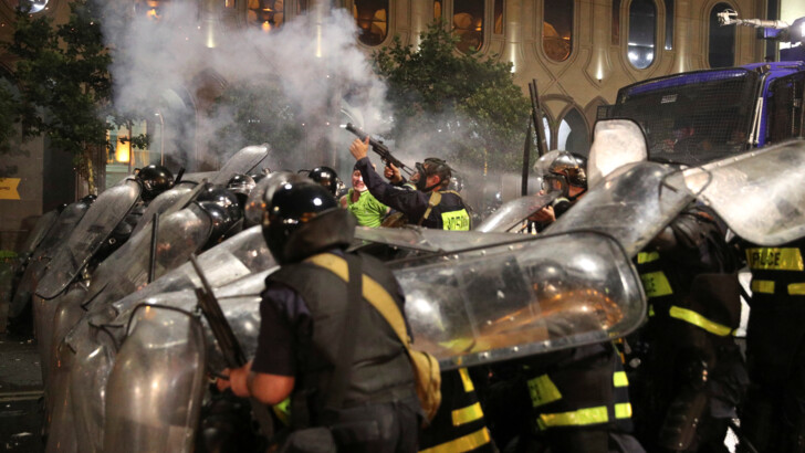 Беспорядки в Грузии. Фото: REUTERS/Irakli Gedenidze