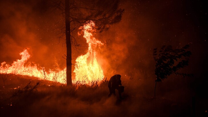  | Фото: AFP