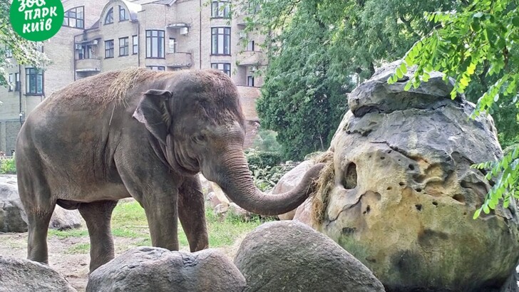 Фото: Киевской зоопарк