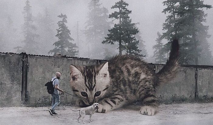 Художник представил мир с гигантскими кошками | Фото: instagram.com/odnoboko
