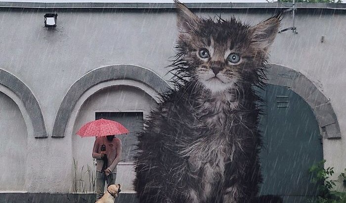 Художник представил мир с гигантскими кошками | Фото: instagram.com/odnoboko