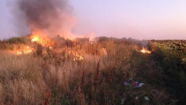 В Харькове за сутки произошло почти полсотни пожаров в экосистемах | Фото: ГСЧС