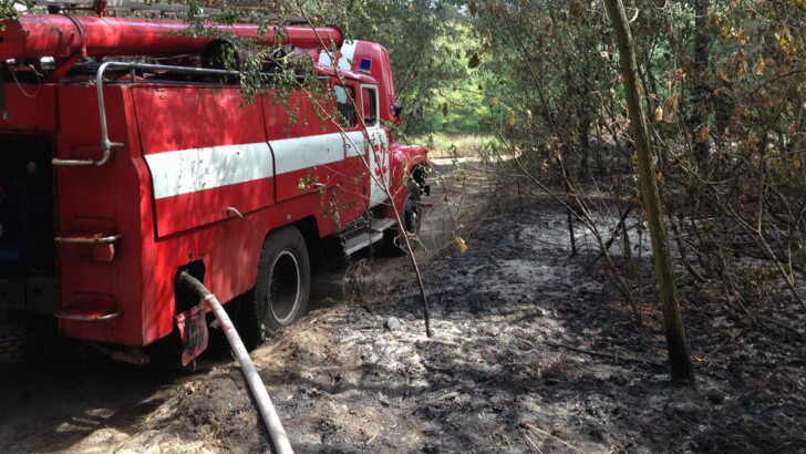 В Харькове за сутки произошло почти полсотни пожаров в экосистемах | Фото: ГСЧС