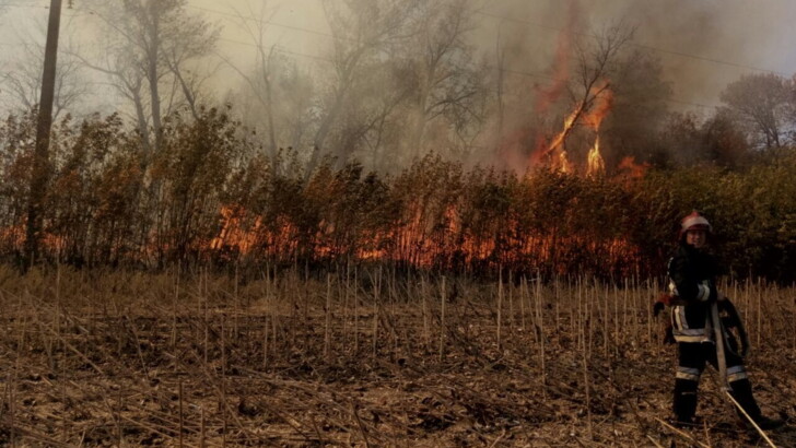 В Харьковской области горят торфяники | Фото: ГСЧС