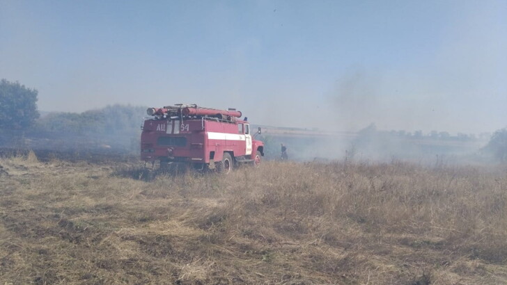 В Харьковской области горят торфяники | Фото: ГСЧС