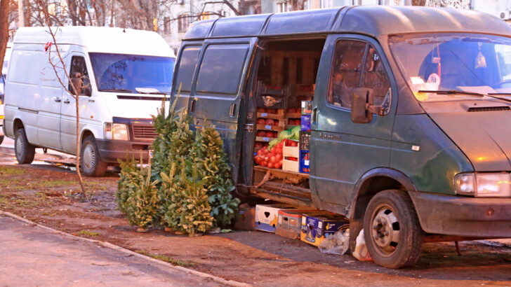 В Одессе открылись елочные базары | Фото: Думская