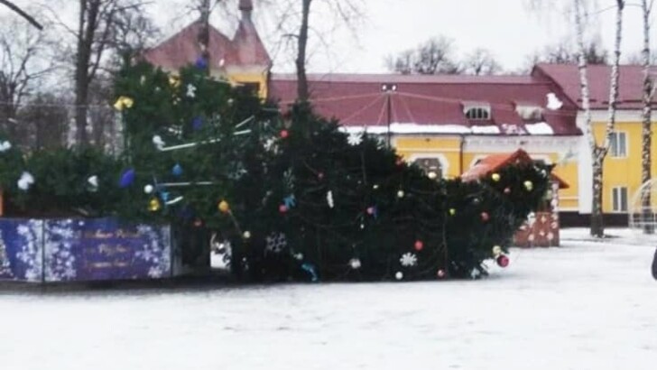 В селе Дунаевцы из-за сильного ветра рухнула новогодняя елка | Фото: Facebook