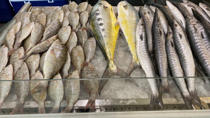Шарджа: рибний ринок | Фото: Сьогодні
