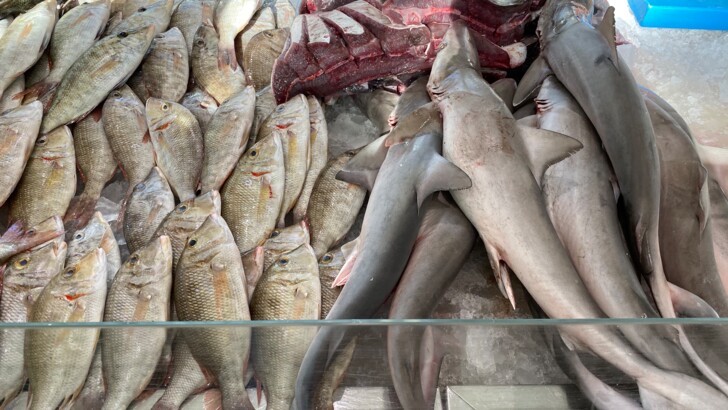 Шарджа: рибний ринок | Фото: Сьогодні