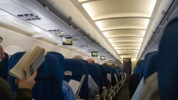 Пьяная девушка склоняла пассажиров самолета к сексу