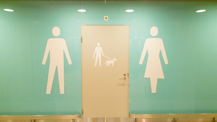 В аэропорту Финляндии открыли туалеты для питомцев | Фото: Yle