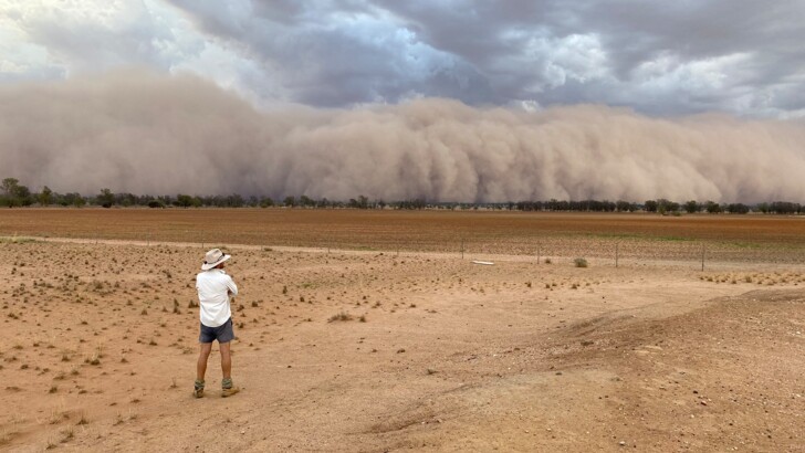 Пылевая буря в Австралии. Фото: twitter.com/jen_browning
