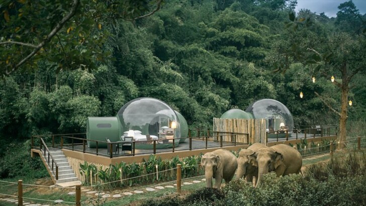 В Таиланде открыли отель с прозрачными номерами-пузырями | Фото: Design Boom
