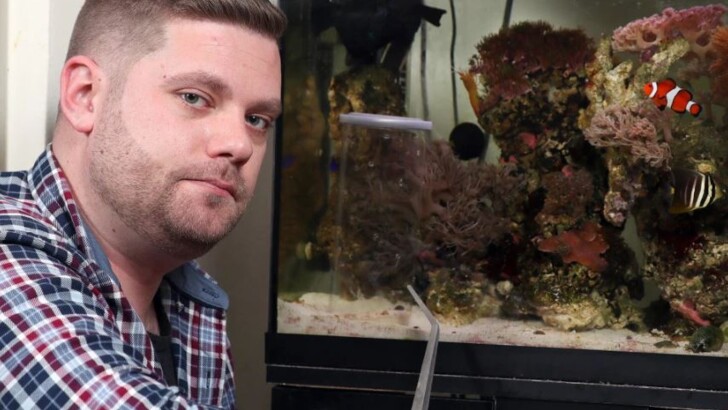 Уэсли Треворс нашел в аквариуме улитку-конус | Фото: The Sun