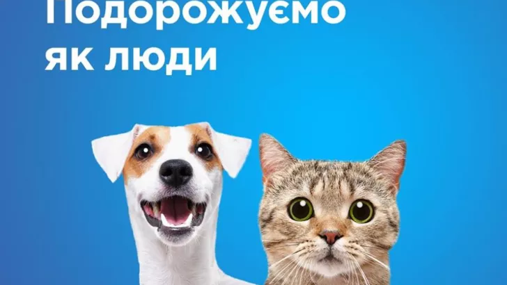 МАУ змінила правила перевезення тварин Фото: facebook.com/flyuia.ua