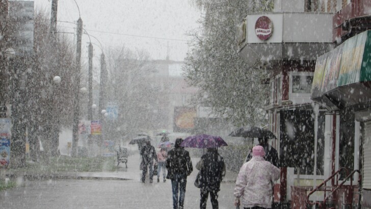 В Шостке неожиданно выпал снег | Фото: Facebook