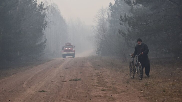 В Житомирской области бушуют лесные пожары | Фото: Facebook