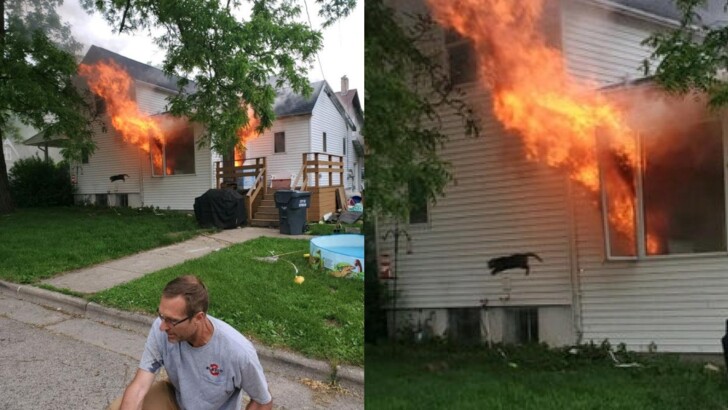 Кошка спаслась от пожара и стала главным мемом 2020 года | Фото: Distriived / Reddit
