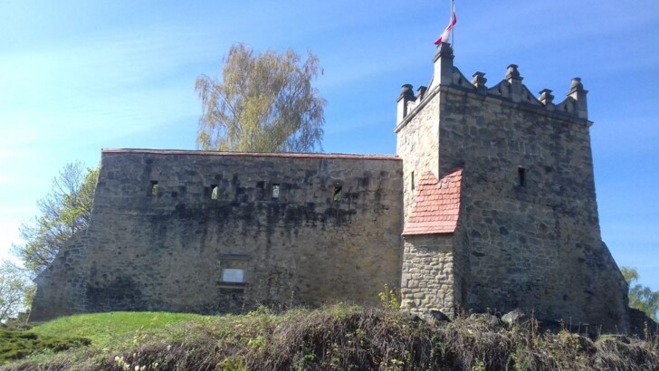 В руинах Королевского замка XIV века обнаружен сундук | Фото: Stowarzyszenie Historyczno Eksploracyjne Sądecczyzny