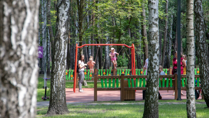 Ігри в лісах і парках підвищують імунітет дитини