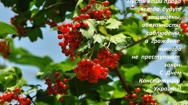 З Днем Конституції України: найкращі листівки, картинки, привітання, вірші