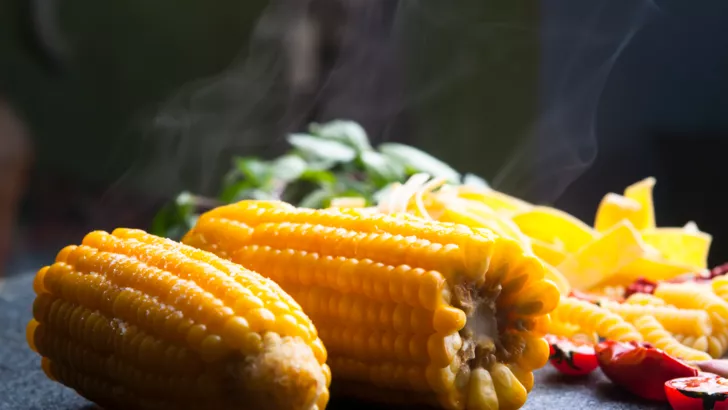 Як варити кукурудзу