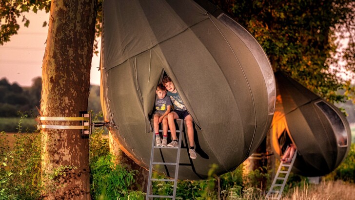 В Бельгии на деревьях появились палатки-капли | Фото: Visit Limburg